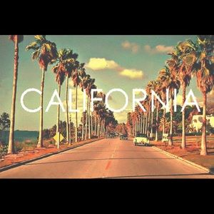 Meet your Posher, Bernardo